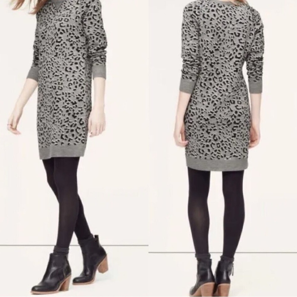 LOFT animal print gray sweater dress small